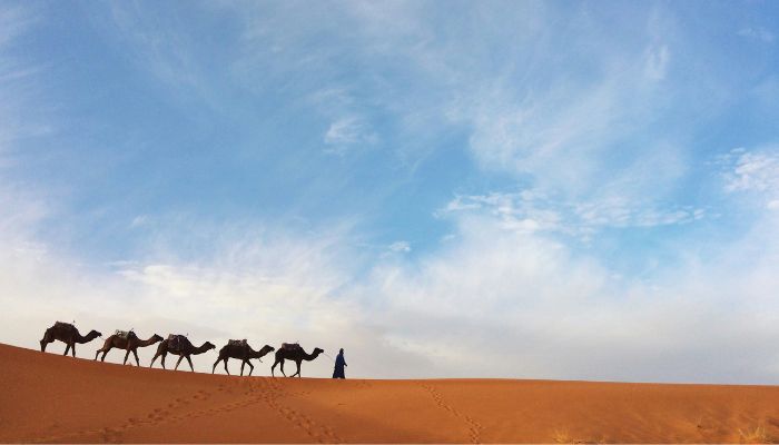 4-Day Marrakech Desert and Fes Tour