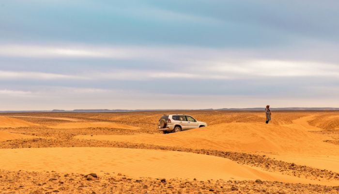 7 Days Desert Tour To Imperial Cities & North From Casablanca