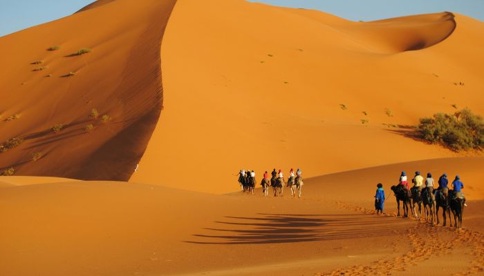 8-Day Tour of Morocco from Casablanca