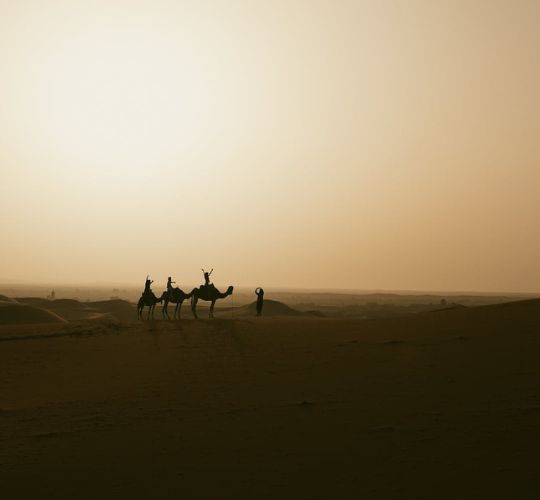 Merzouga desert