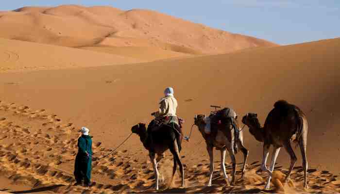 Marrakech to Merzouga desert 5 Days